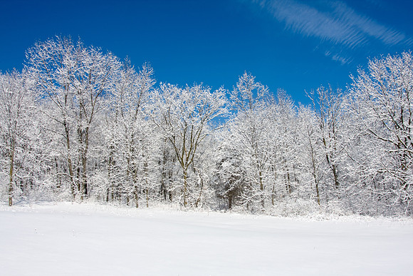 Galena Snow