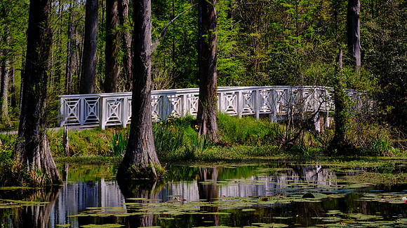 Cypress Gardens, Moncks Corner, SC