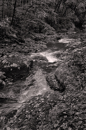 Straight Fork - Raven Fork, GSMNP