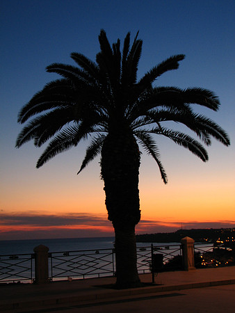 Sicily