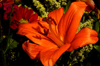 2013 Oct - Andrea's Flowers