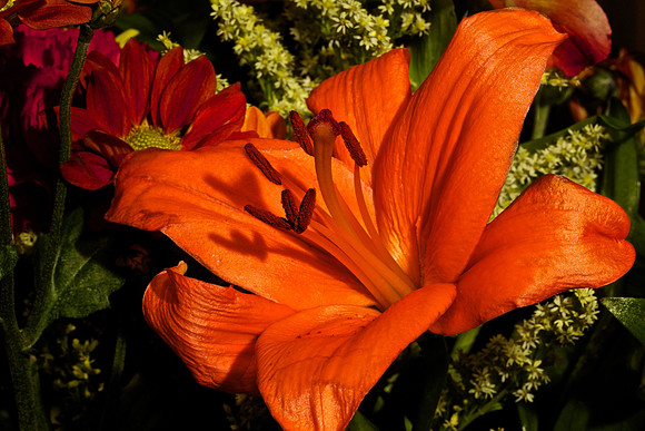 Andrea's Flowers, Herndon, VA