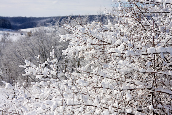 Galena Snow