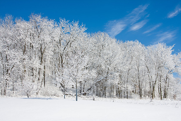 Galena Snow