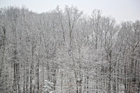 2013 Dec - Winter Snow & Ice, OH