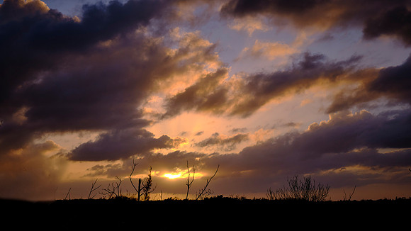 Sunset between Florida City and Flamingo in the Everglades National Park
