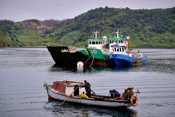Angelmo Fish Market, Puerto Montt, Chile