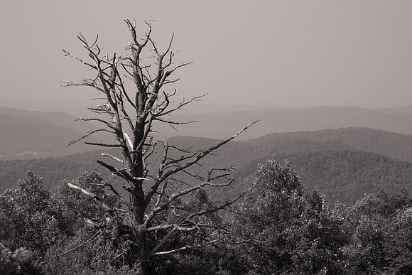 2012 July:  Blue Ridge Parkway, North Carolina