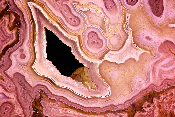 Macro Photography