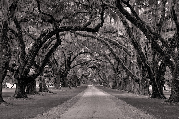 2021 April: Tomotley Plantation, Beaufort County, South Carolina
