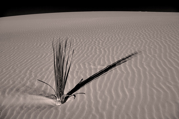 Sunset over White Sands National Monument, New Mexico