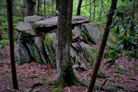 2024 May - Blue Ridge Parkway, NC