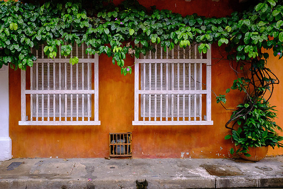 Colorful balconies adorned with flowering plants add vibrancy to the warm, muted tones of colonial homes.
