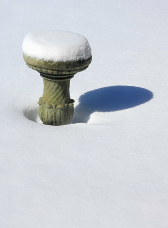 Galena Snow