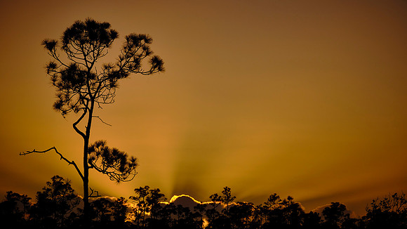 Sunset in the Everglades National Park