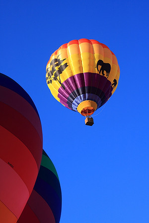 Carolina BalloonFest, Statesville, NC