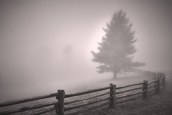 2015 July: Blue Ridge Parkway in the morning fog, North Carolina
