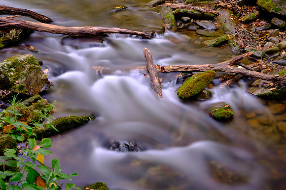 Straight Fork - Raven Fork, GSMNP