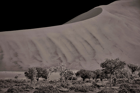 Dunes in Sossusvlei, Namib Desert, Namibia
