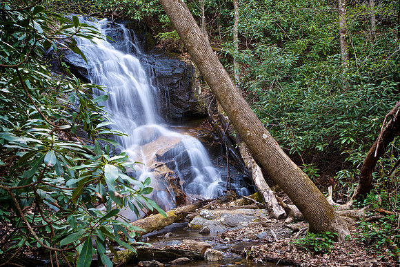 Falls on Log Hollow, Brevard, NC