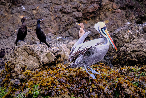 Achao, Chiloe Island, Chile