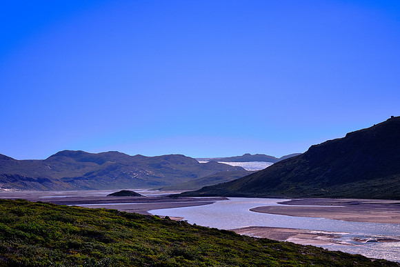 The Kangerlussuaq area is home to muskoxen, caribou, and gyrfalcons, the largest falcons in the world.