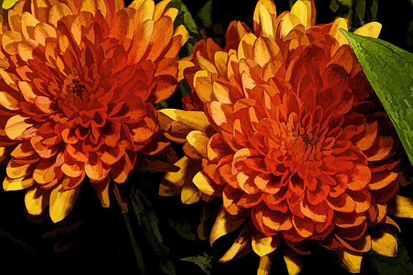Andrea's Flowers, Herndon, VA