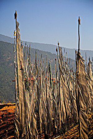 Prayer flags at Sangchhen Dorji Lhuendrup Lhakhang Nunnery, Punakha