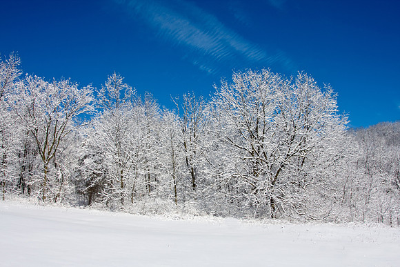 Galena Snow