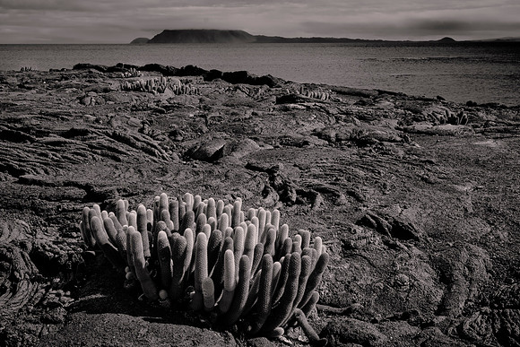 Galápagos Islands, Ecuador