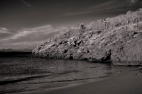 2025 Aug - Galapagos in B&W