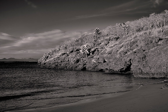 Galápagos Islands, Ecuador