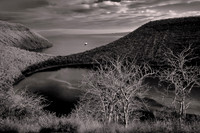 2025 Aug - Galapagos in B&W