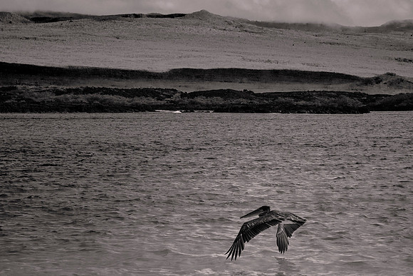 Galápagos Islands, Ecuador