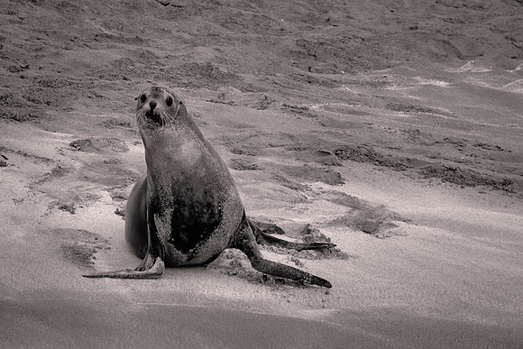 Galápagos Islands, Ecuador