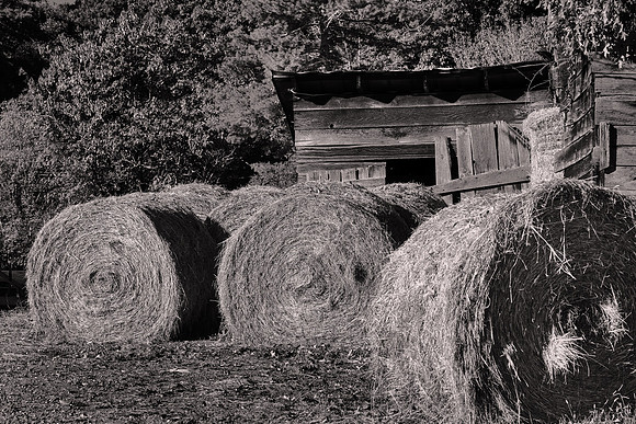 Barns of Madison County, NC