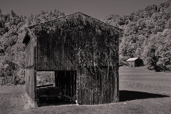 Barns of Madison County, NC