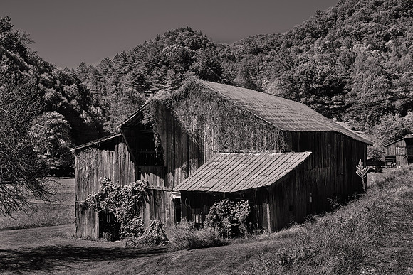 Barns of Madison County, NC