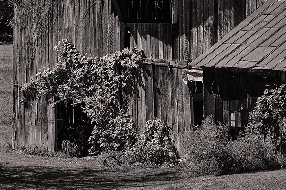 Barns of Madison County, NC
