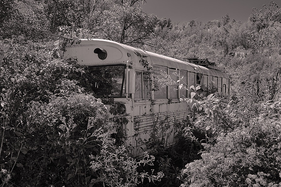 On the road to Sodom in Madison County, NC
