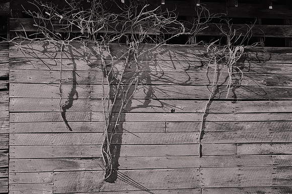 Barns of Madison County, NC