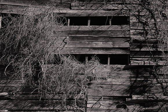 Barns of Madison County, NC