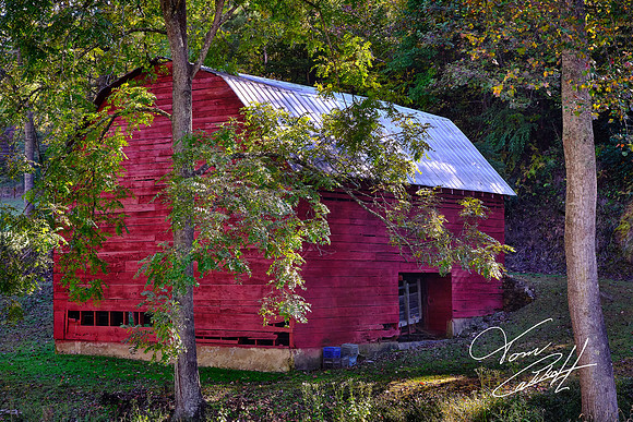 Because it is the only barn that I saw with paint in Madison County, NC