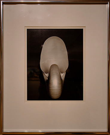 Hunter Museum of American Art, Chattanooga --- by Edward Weston