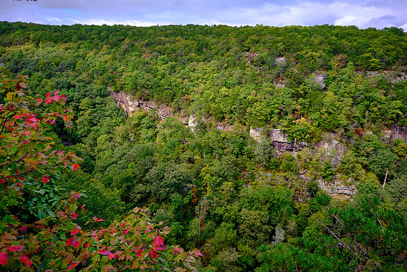Cloudland Canyon State Park, Georgia