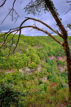 Cloudland Canyon State Park, Georgia