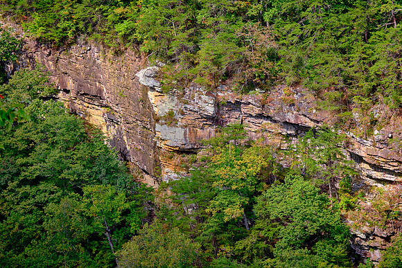 Cloudland Canyon State Park, Georgia