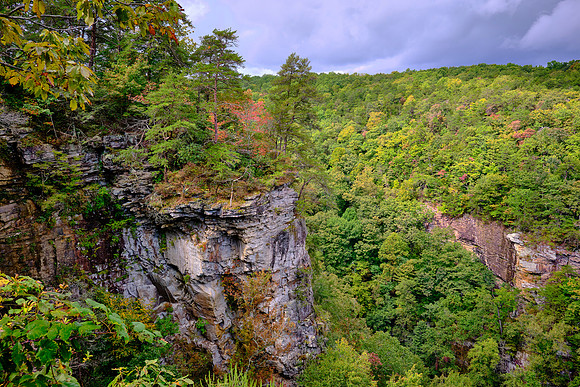 Cloudland Canyon State Park, Georgia