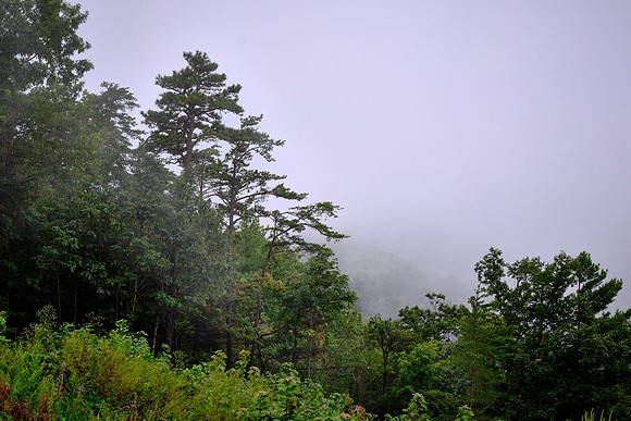 Cherohala Skyway, Tennessee