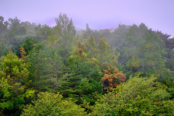 Cherohala Skyway, Tennessee